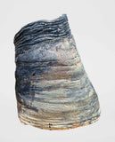 Ericka Lopez - Untitled 270