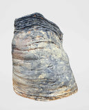 Ericka Lopez - Untitled 270
