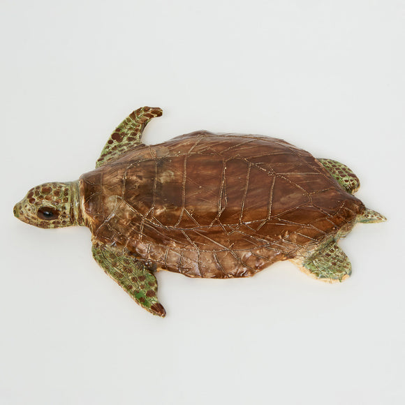 Jenna Greene - Sea Turtle