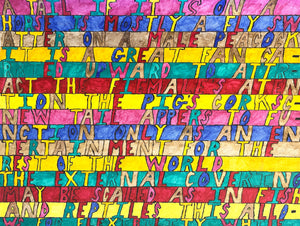 This image presents a densely arranged, hand-lettered text composition, where each line is filled with capitalized words in distinct, alternating colors including pink, blue, yellow, green, and red. The content appears to examine the functional and evolutionary roles of animal tails—such as those of horses, peacocks, and pigs—emphasizing their roles in attraction, display, and adaptation within the natural world.