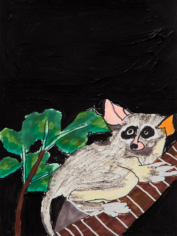 A wide-eyed bush baby clings to a tree trunk under a pitch-black sky. The creature’s grey fur contrasts with the surrounding dark void, with vivid green leaves providing a touch of natural serenity in this nocturnal scene.
