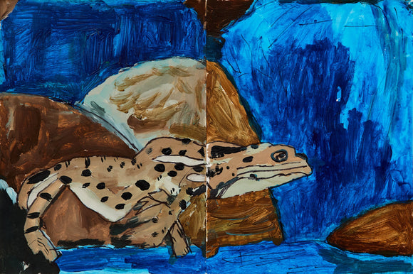 A spotted frog rests among jagged rocks and cascading water, its body rendered in soft tans and browns with deep cobalt pools behind it.