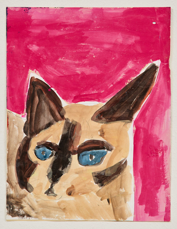 A Siamese cat stares forward with intense blue eyes and sharply defined ears, set against a bold pink backdrop that amplifies the animal’s dramatic facial features and soft fur tones.