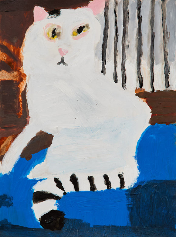 A white cat with striped tail and yellow eyes rests against a dark interior. Bold blue and brown patches surround the feline, with striped curtains suggesting a cozy yet mysterious domestic setting.