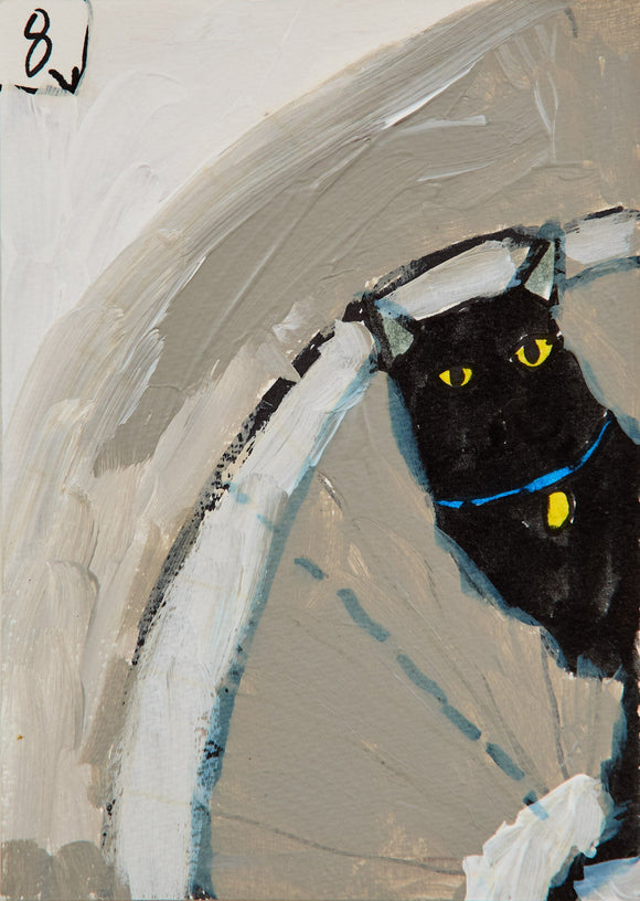 In a dramatic boxing ring, a shadowy black cat with yellow eyes and red boxing gloves takes center stage. Surrounded by abstract figures in the crowd, the cat exudes quiet intensity.