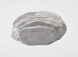 Vicente Siso - Untitled #46