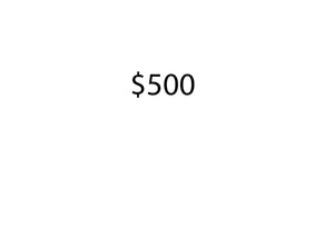 $500 Donation