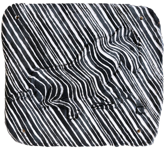 Justin Braden - Zebra